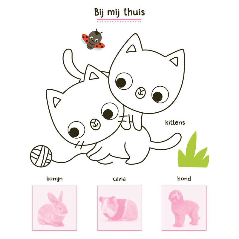 Load image into Gallery viewer, Deltas mijn dieren stickerboek