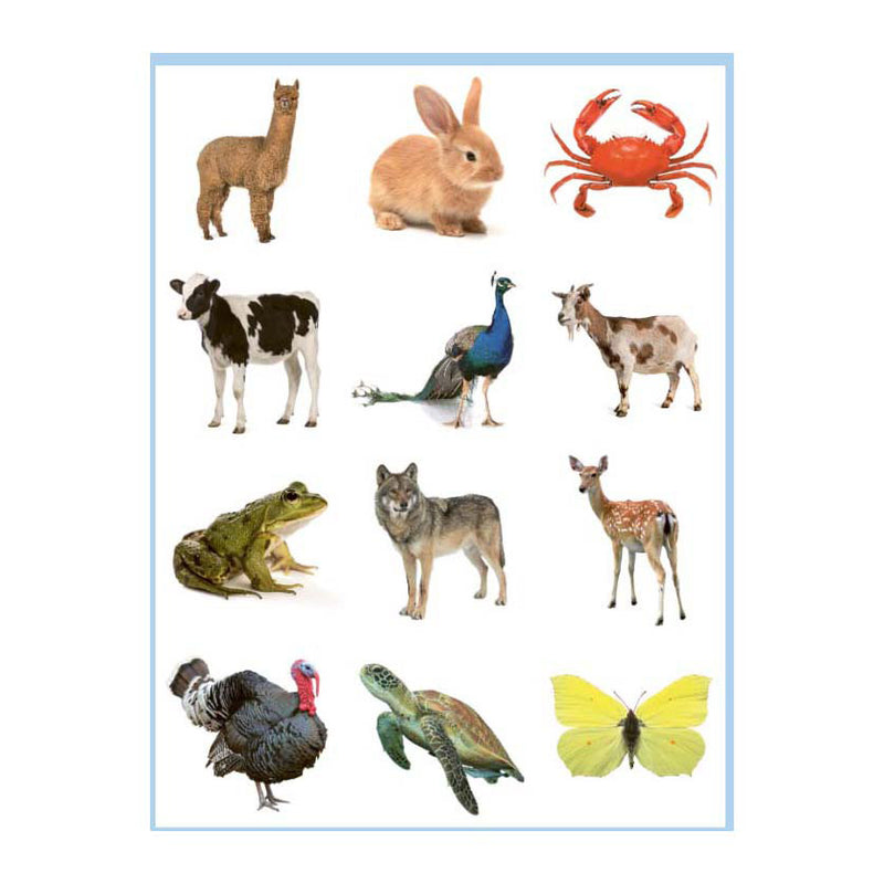 Afbeelding laden in galerijviewer, Deltas lieve dieren kleur- en stickerboek - 3-5 jaar
