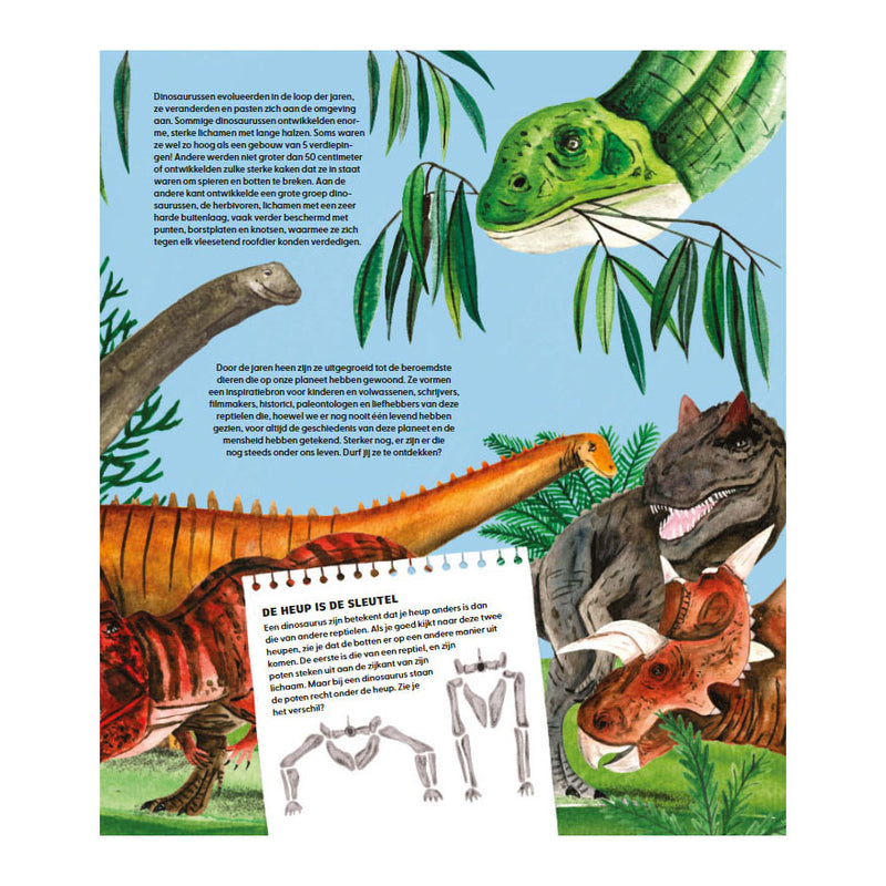 Afbeelding laden in galerijviewer, Deltas de wondere wereld van dinosaurussen