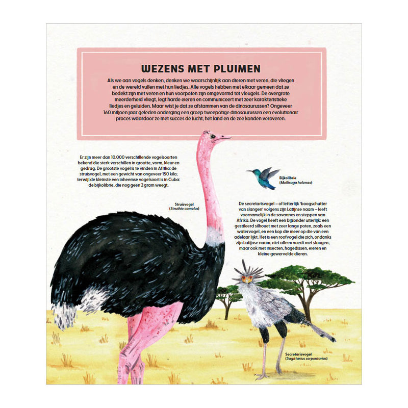 Afbeelding laden in galerijviewer, Deltas de wondere wereld van vogels