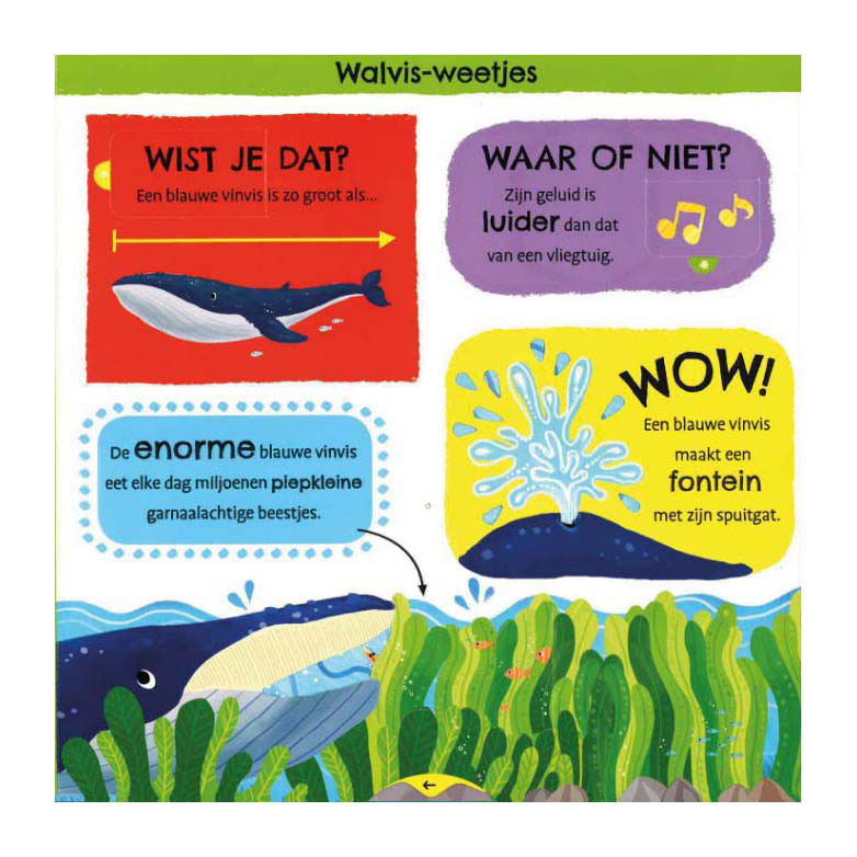Chargez l'image dans la visionneuse de la galerie, Deltas mijn eerste weetjesboek bij de dieren