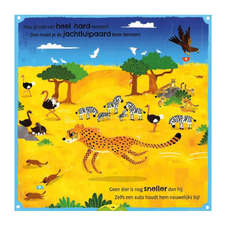Chargez l'image dans la visionneuse de la galerie, Deltas mijn eerste weetjesboek bij de dieren
