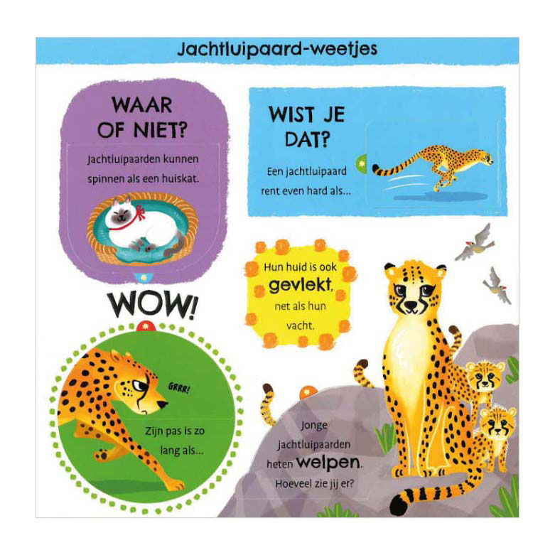 Chargez l'image dans la visionneuse de la galerie, Deltas mijn eerste weetjesboek bij de dieren