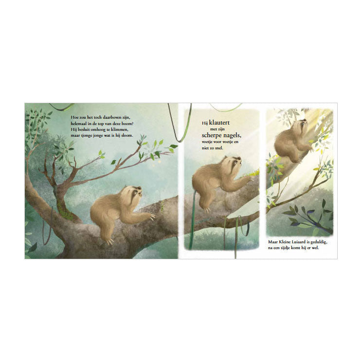 Afbeelding laden in galerijviewer, Rebo publishers verhalenboek: kleine luiaard. 2+