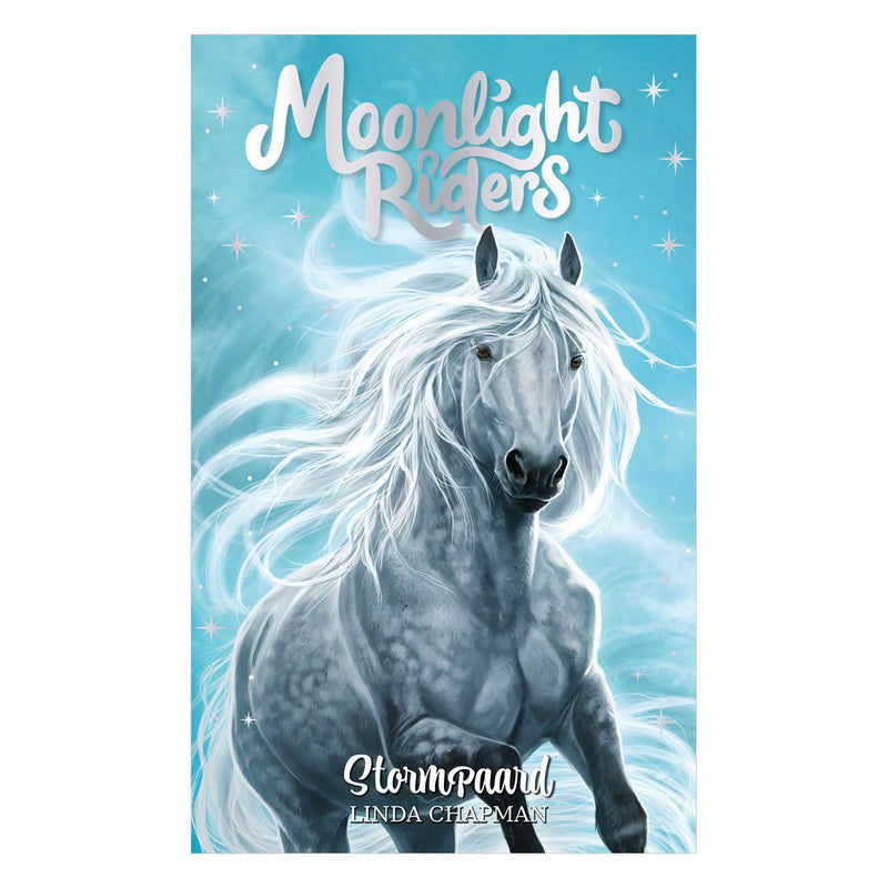 Afbeelding laden in galerijviewer, Rebo publishers moonlight riders 2 - stormpaard