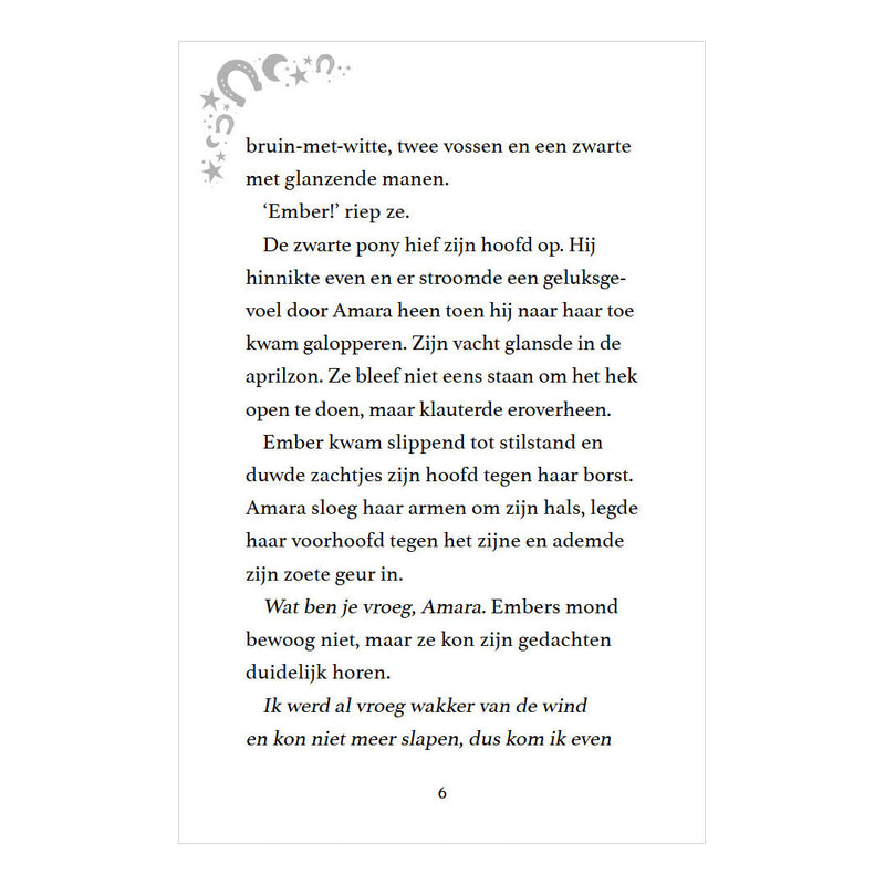 Afbeelding laden in galerijviewer, Rebo publishers moonlight riders 2 - stormpaard