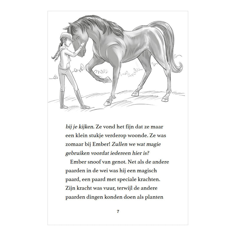 Afbeelding laden in galerijviewer, Rebo publishers moonlight riders 2 - stormpaard