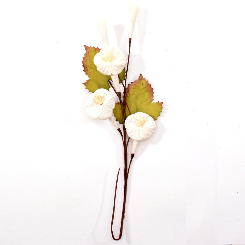 Load image into Gallery viewer, Petaloo • color me crazy trumpet vine spray