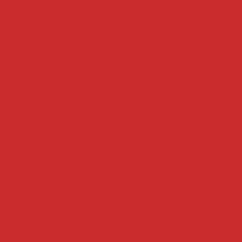 Load image into Gallery viewer, Ranger ink ranger • dylusions ink spray postbox red 59ml