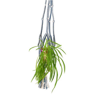 Load image into Gallery viewer, No brand in the mood collection pothouder blauw macrame 110 cm | 6 stuks