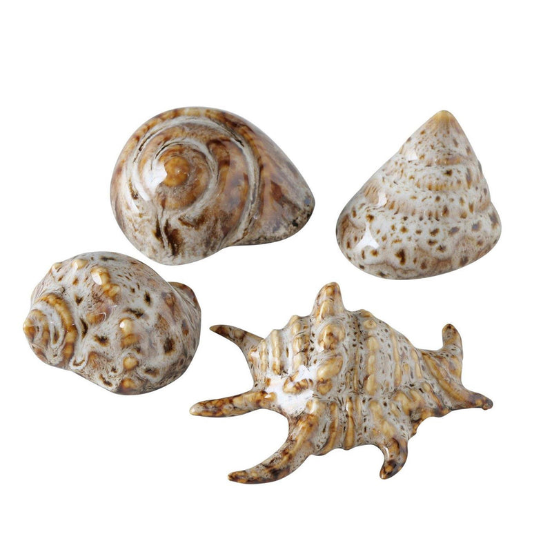Afbeelding laden in galerijviewer, Boltze home decoratieve schelp 7x6x4cm beige bruin 4 assorti