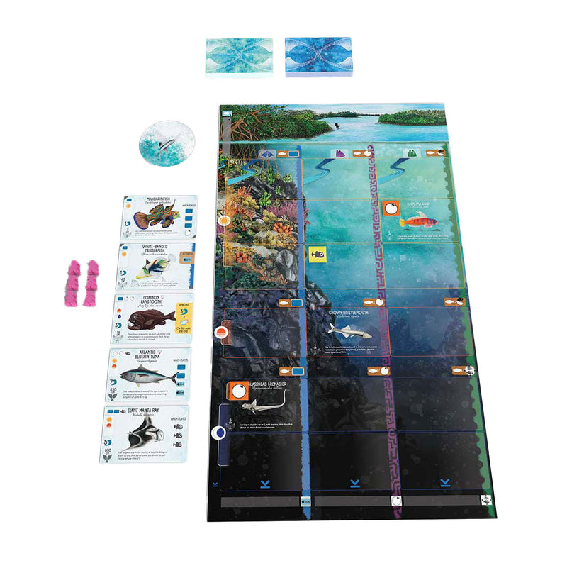 Load image into Gallery viewer, 999games 999 games finspan bordspel