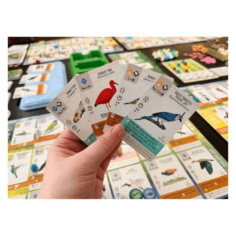 Chargez l'image dans la visionneuse de la galerie, 999games 999 games wingspan: midden- en zuid-amerika bordspel (uitbreiding, nederlands, 1 - 5 spelers, 40 - 70 minuten, vanaf 10 jaar)