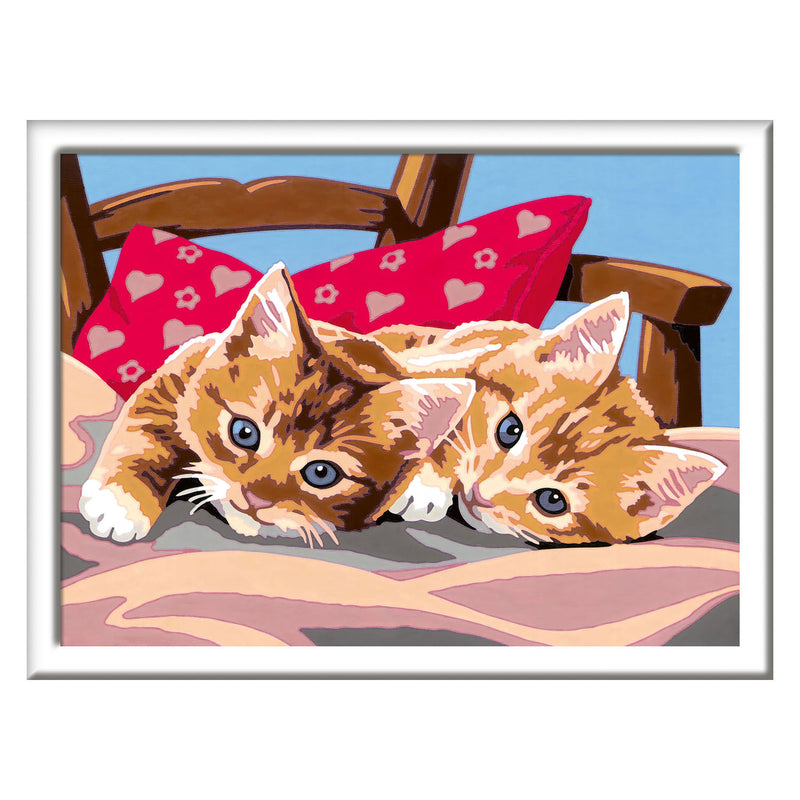 Load image into Gallery viewer, Ravensburger creart schilderen op nummer - twee knuffelige katten