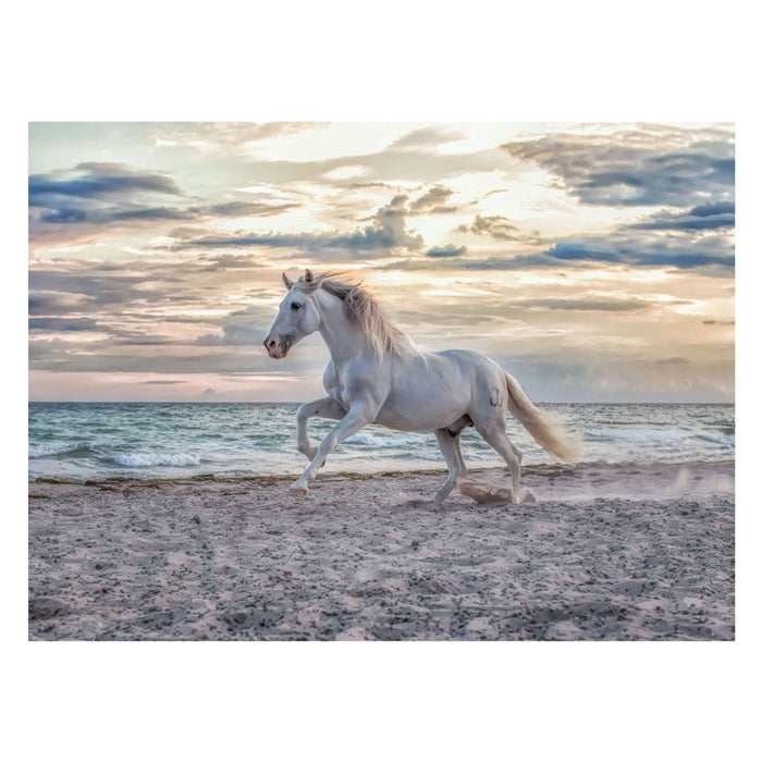 Afbeelding laden in galerijviewer, Ravensburger puzzel paard strand - 500 stukjes legpuzzel dieren.