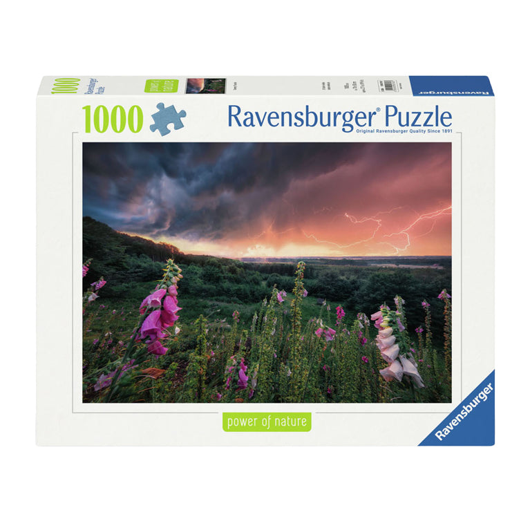 Load image into Gallery viewer, Ravensburger legpuzzel ein sturm zieht auf, 1000st.