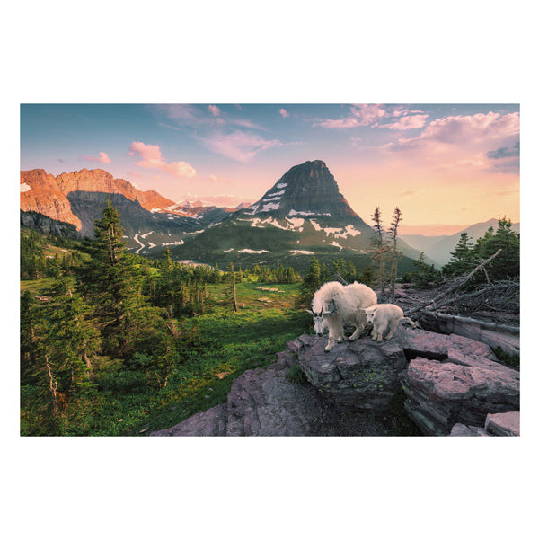 Afbeelding laden in galerijviewer, Ravensburger puzzel alpine geit met jong - legpuzzel - 3000 stukjes