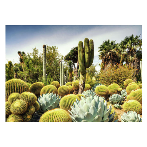Afbeelding laden in galerijviewer, Ravensburger legpuzzel huntington desert garden 1000 stukjes landschap.
