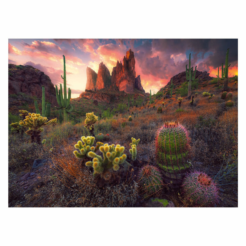 Chargez l'image dans la visionneuse de la galerie, Ravensburger legpuzzel cactus, 500st.