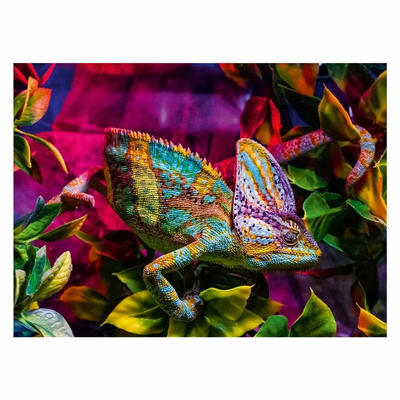 Load image into Gallery viewer, Ravensburger puzzel chameleon 500st