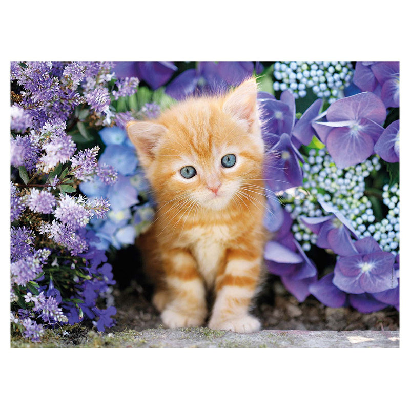 Afbeelding laden in galerijviewer, Clementoni puzzel kat met bloemen, 500st.