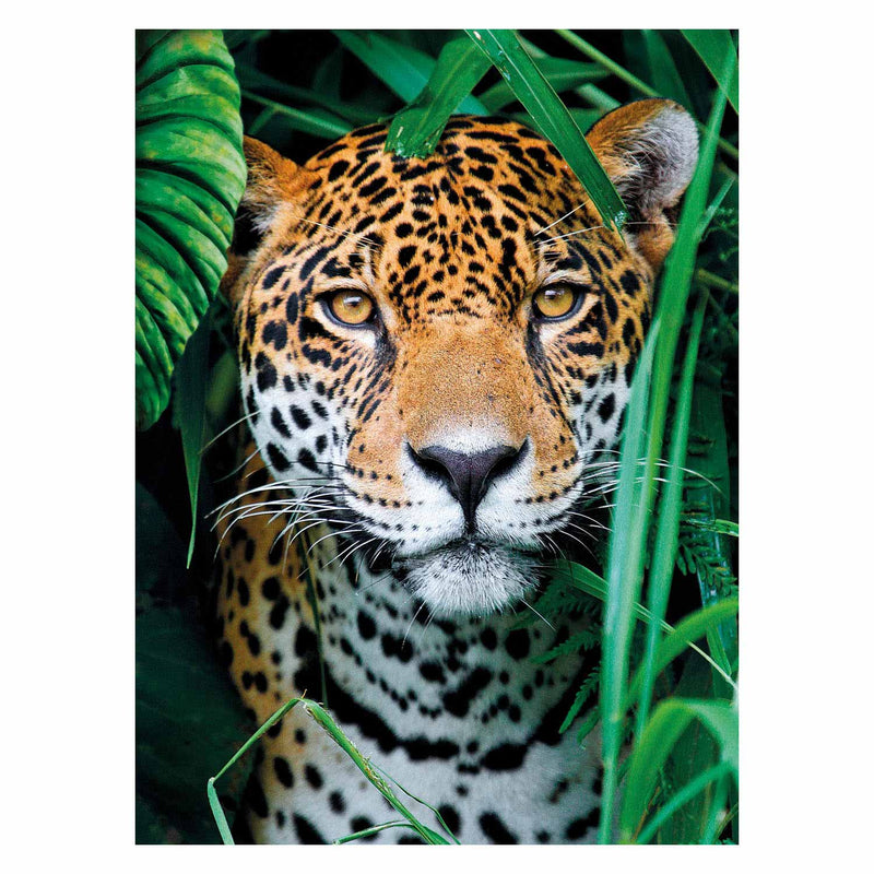 Afbeelding laden in galerijviewer, Clementoni puzzel jaguar in de jungle, 500st.