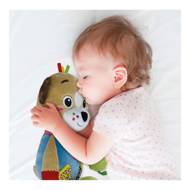 Load image into Gallery viewer, Clementoni baby mijn eerste dierenknuffel - hond