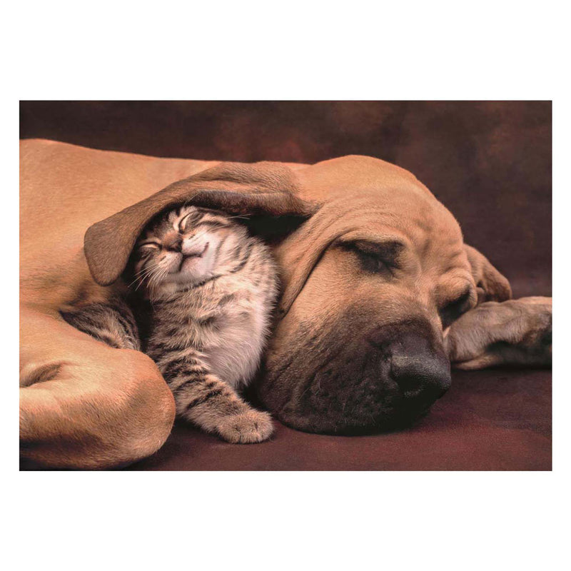 Load image into Gallery viewer, Clementoni legpuzzel hond en kat, 500st.