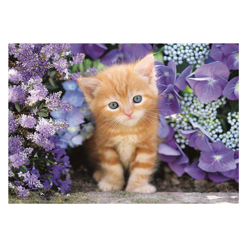 Afbeelding laden in galerijviewer, Clementoni clemetoni legpuzzel ginger cat, 500st.