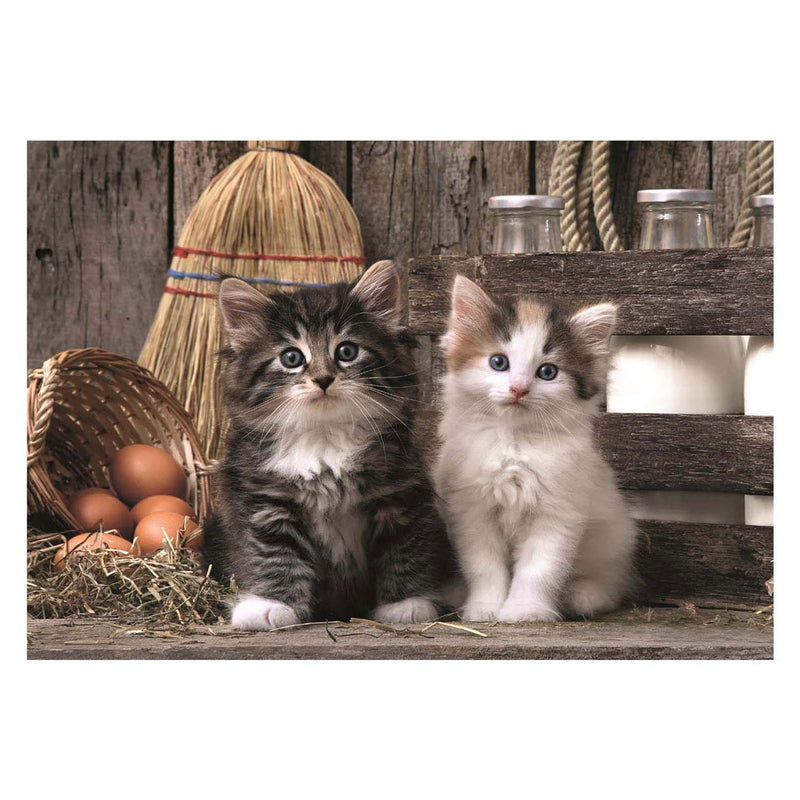 Chargez l'image dans la visionneuse de la galerie, Clementoni puzzel - schattige kittens, 1000st.