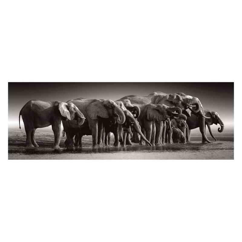 ギャラリービューアに画像をロードする, Clementoni legpuzzel herd of giants, 1000st.