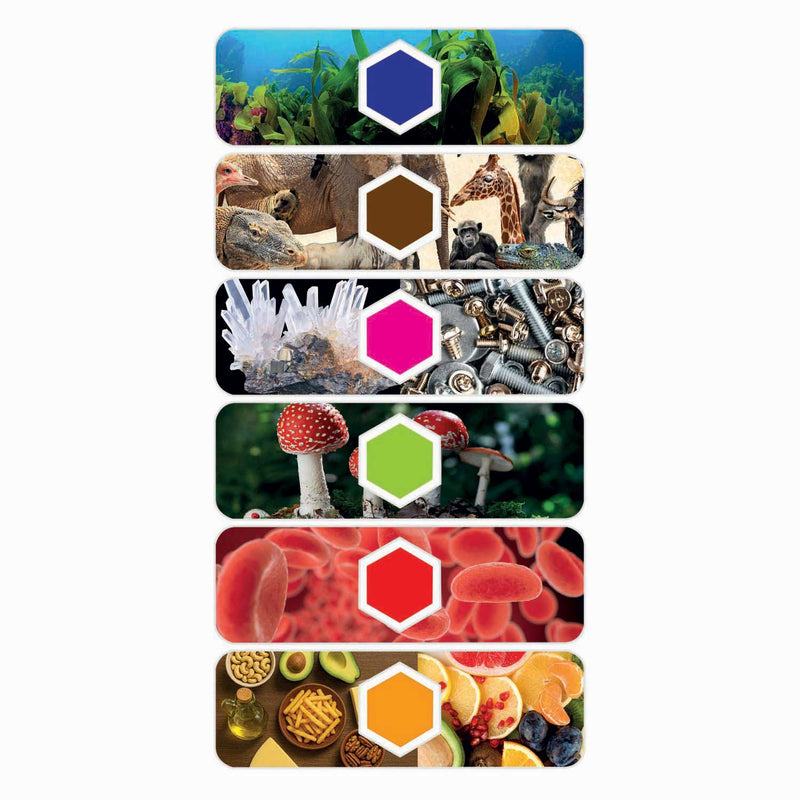 Afbeelding laden in galerijviewer, Clementoni wetenschap spel microscoop smart
