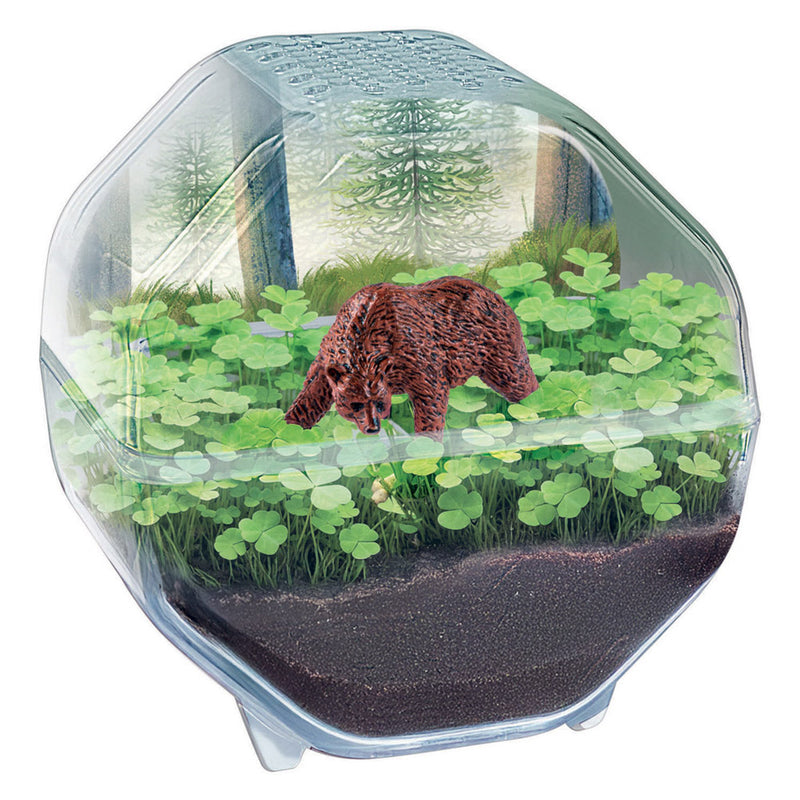 Cargue la imagen en el visor de la galería, Clementoni wetenschap spel my wild terrarium - beer