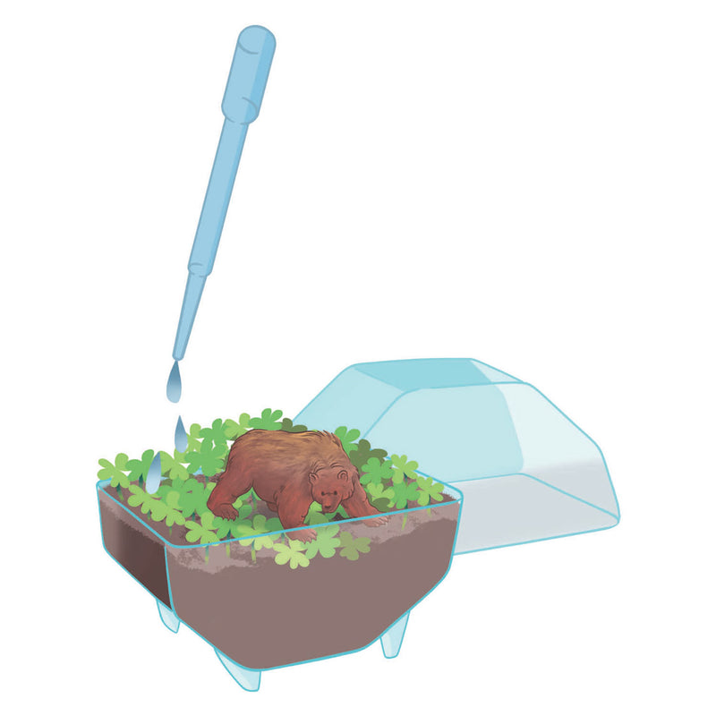 Cargue la imagen en el visor de la galería, Clementoni wetenschap spel my wild terrarium - beer