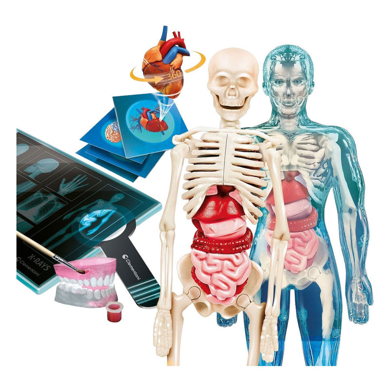 Afbeelding laden in galerijviewer, Clementoni wetenschap en spel - super anatomie