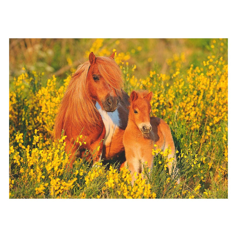 Load image into Gallery viewer, Ravensburger Shetlandpony's, 100st. XXL