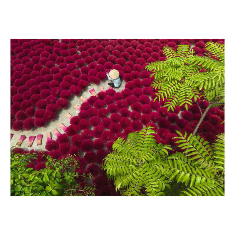 Afbeelding laden in galerijviewer, Ravensburger – een zee van rood – legpuzzel – 500 stukjes