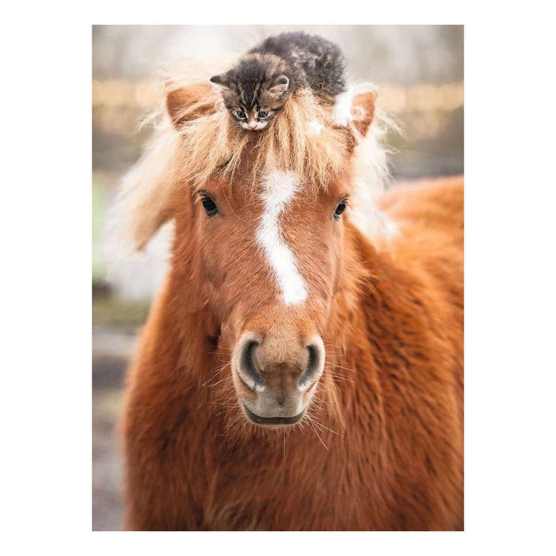Afbeelding laden in galerijviewer, Ravensburger – pony and cat – legpuzzel – 500 stukjes