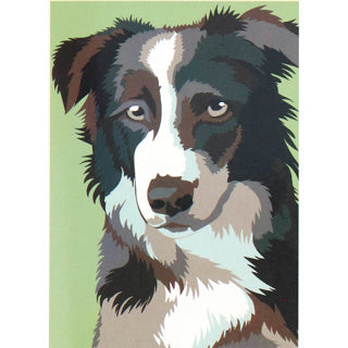 Load image into Gallery viewer, Nassau schilderen op nummer hond | 3 stuks