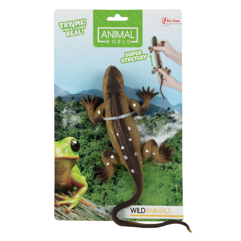 Load image into Gallery viewer, Toi-toys reptiel levensecht op kaart