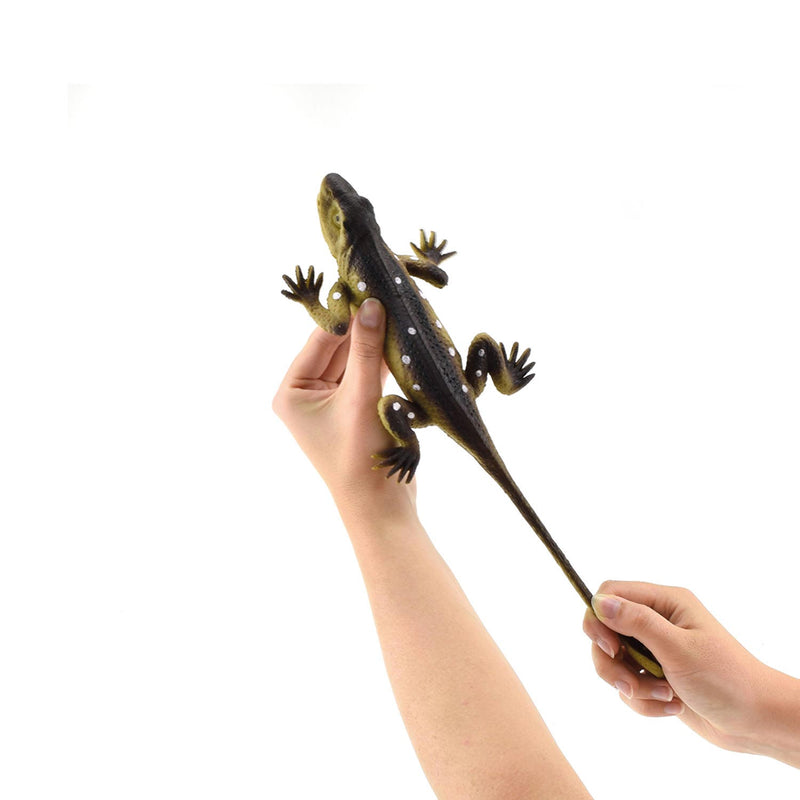 Load image into Gallery viewer, Toi-toys reptiel levensecht op kaart