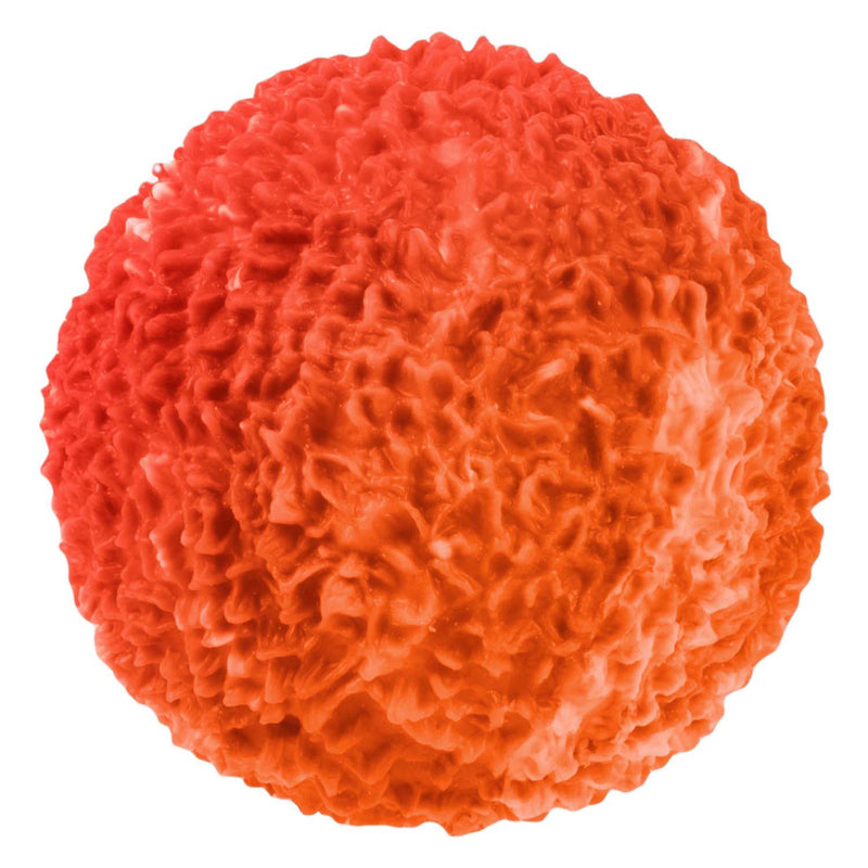 Cargue la imagen en el visor de la galería, Toi-toys fun textuurknijpbal moss gevuld met foam, 8cm