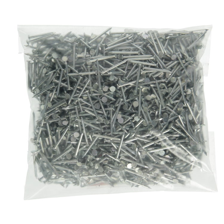 Afbeelding laden in galerijviewer, Mack 1020062 - plafondnagel verzinkt 1000 gr 2,0 x 25 mm | 10 stuks
