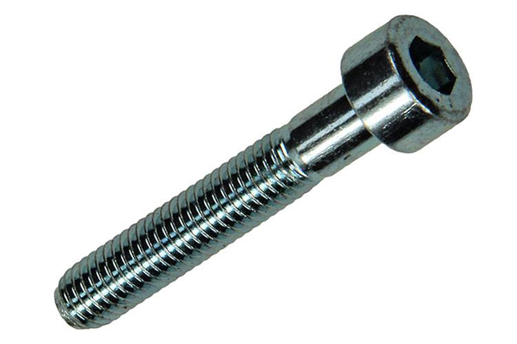Afbeelding laden in galerijviewer, Mack 1017647 - binnenzeskant bout cyl.kop verz. 8 st m5 x 30 mm | 10 stuks