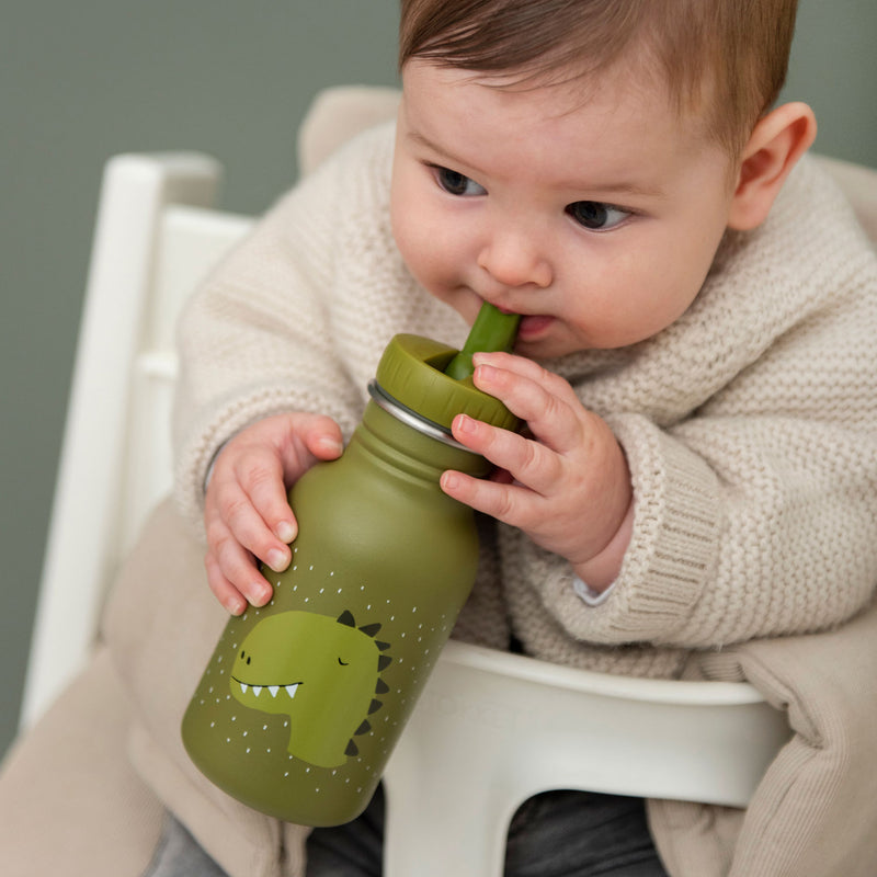 Load image into Gallery viewer, Trixie drinkfles mr. dino, 350ml