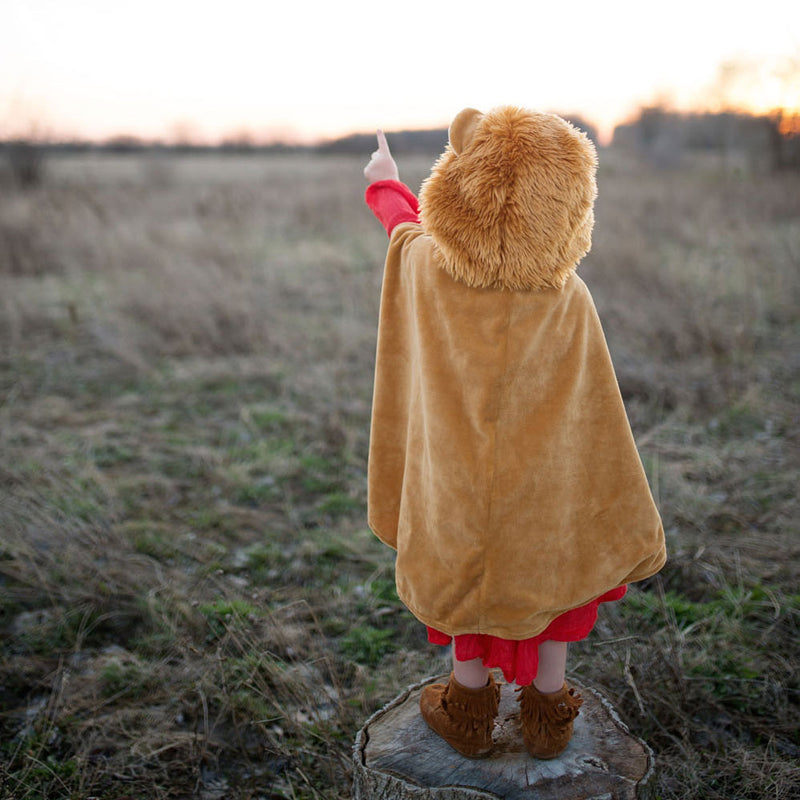 Load image into Gallery viewer, Great pretenders cape leeuw, 2-3 jaar