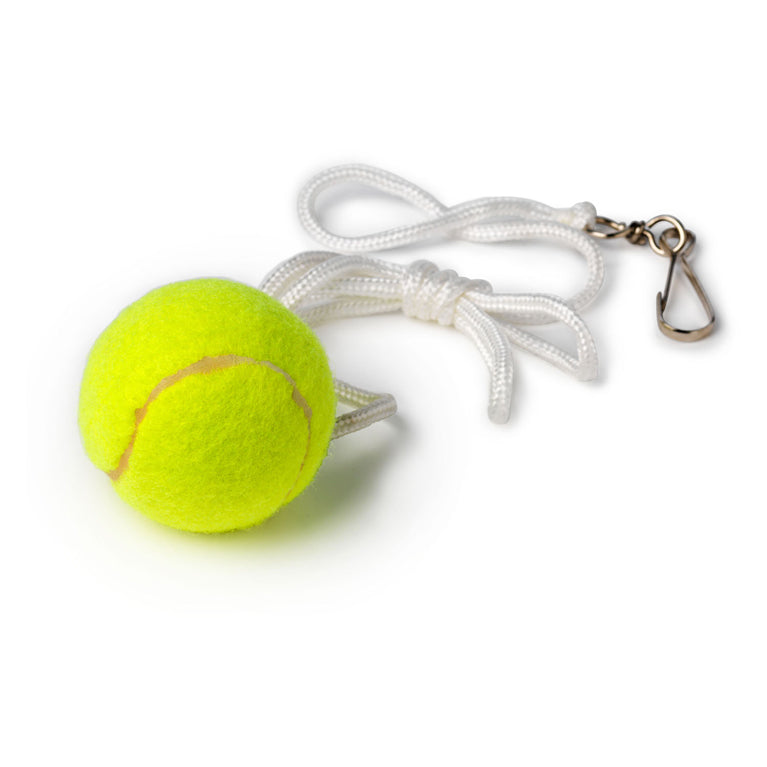 Load image into Gallery viewer, Tactic bex sunsport tennispaal met 2 rackets