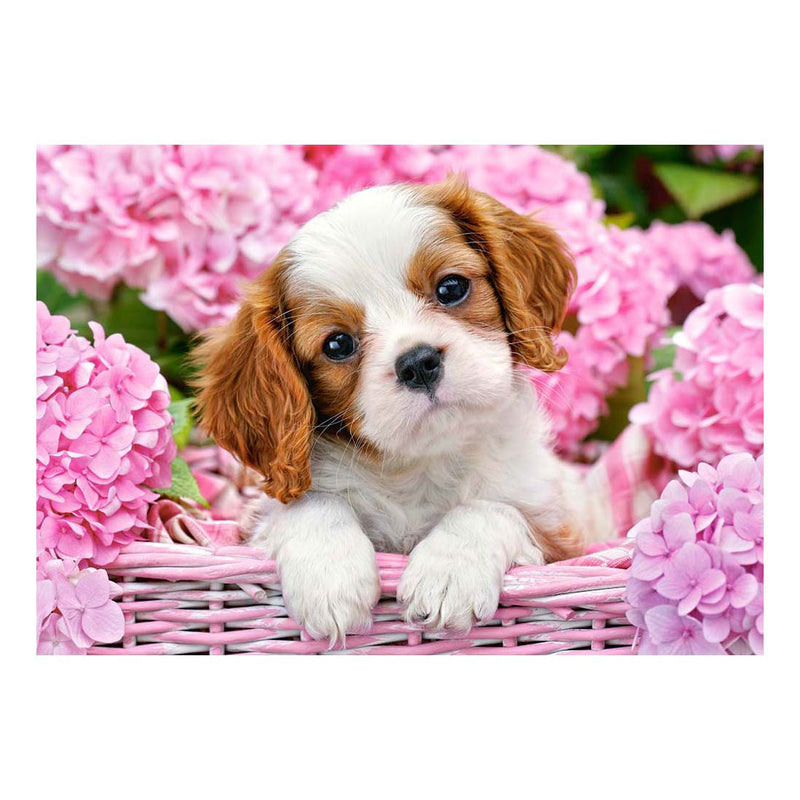 Chargez l'image dans la visionneuse de la galerie, Castorland pup in pink flowers – puzzel – 500 stukjes – satijnen afwerking – perfecte pasvorm – europese kwaliteit