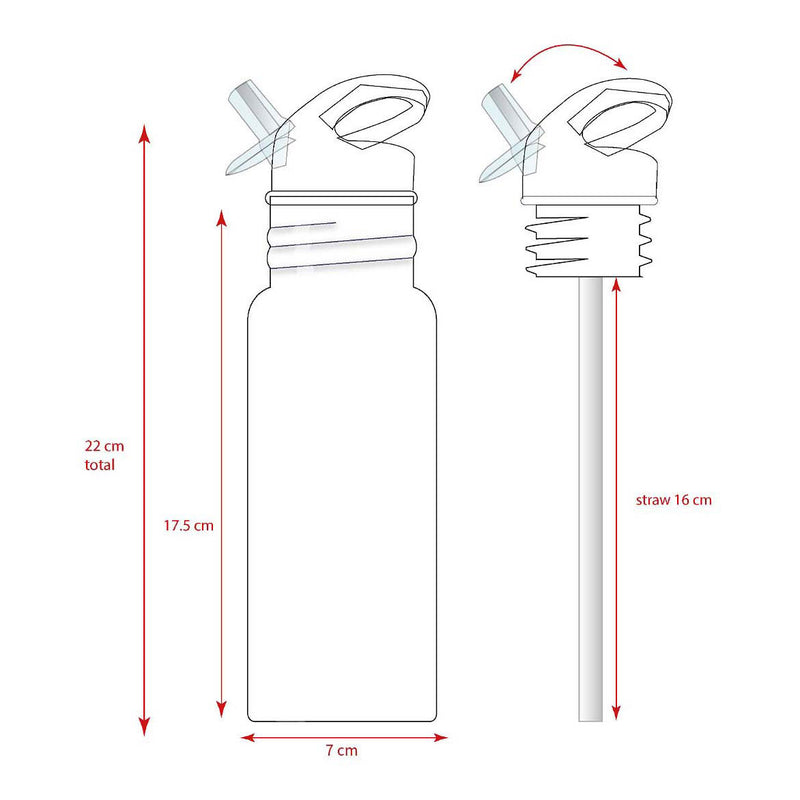 Load image into Gallery viewer, Vadobag drinkfles pret take a sip - 500ml