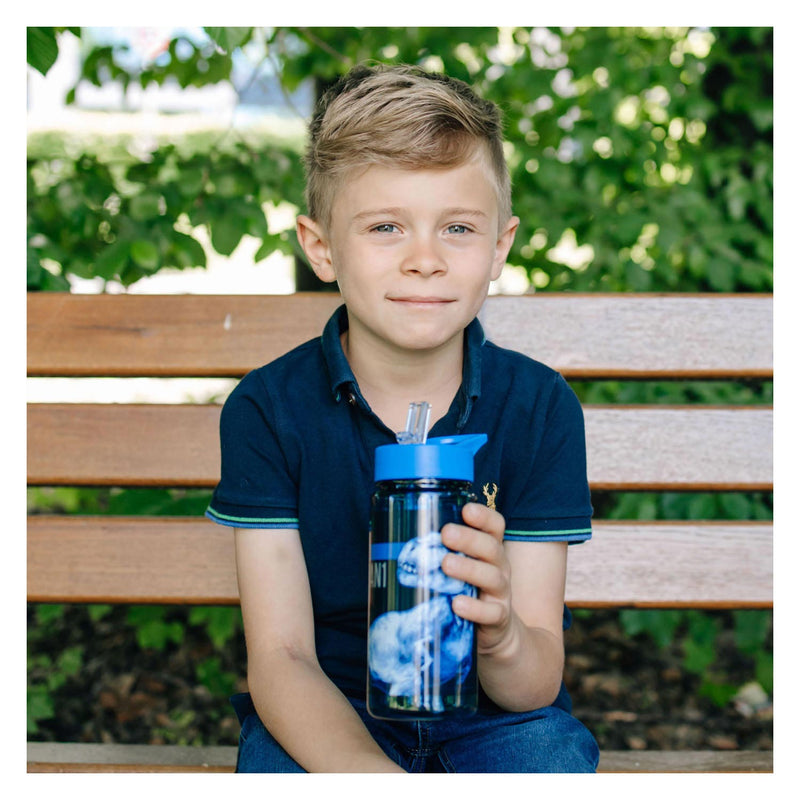 Load image into Gallery viewer, Undercover jurassic world drinkfles, 500ml